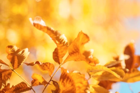 Autumn Skin Care Q&A